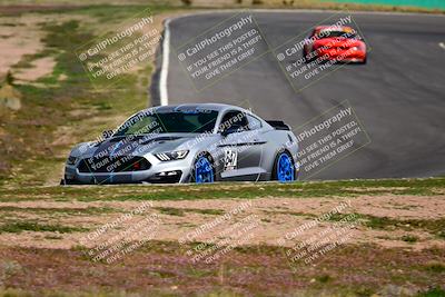 media/Feb-25-2024-Speed Ventures (Sun) [[b9a2a97a4d]]/Mustang Drivers Club/Session 3 (Turn 2)/